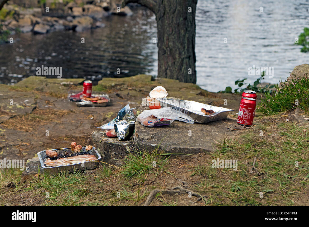 Discarded Disposable Barbeques, food leftovers and other Rubbish at a Riverside Beauty Spot, UK Stock Photo