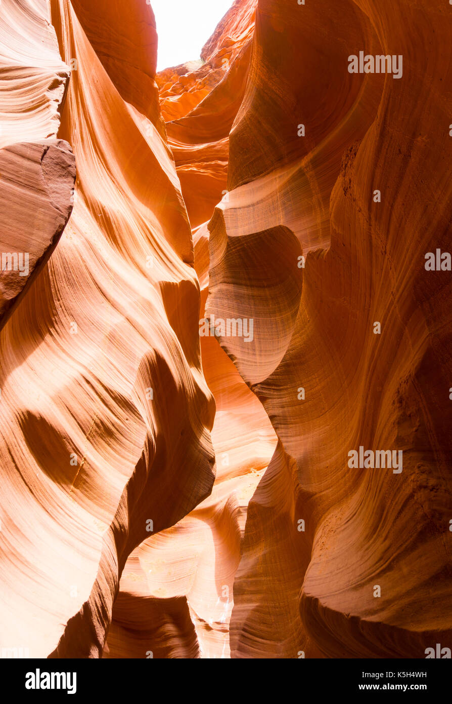 Eroded rock formations inside the Lower Antelope Canyon near Page, Arizona (USA). The sandstone slot canyon is a major tourist attraction. Stock Photo