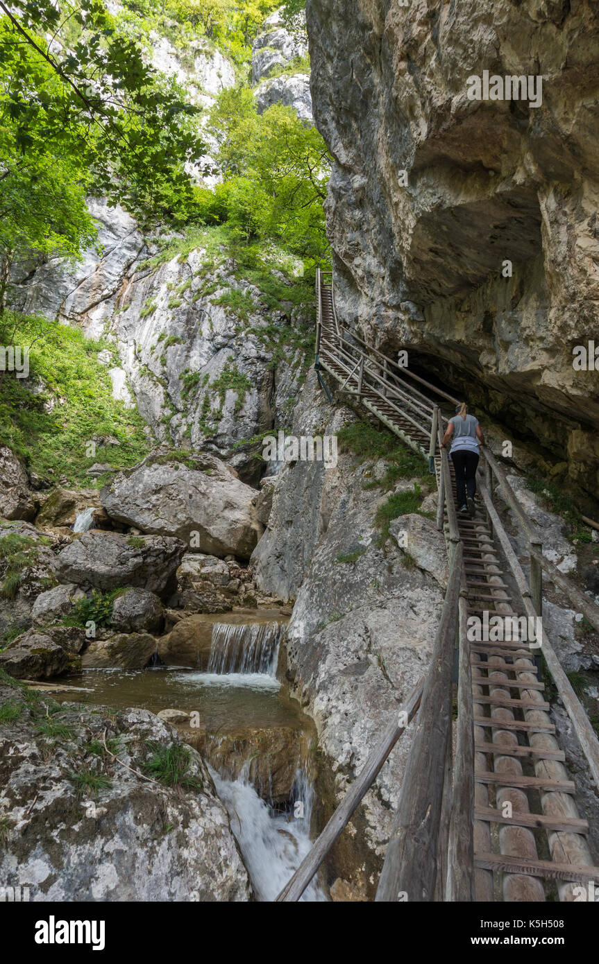 Vertical shot of young lady walking up a wooden ladder in the Baerenschutzklamm river gorge Stock Photo