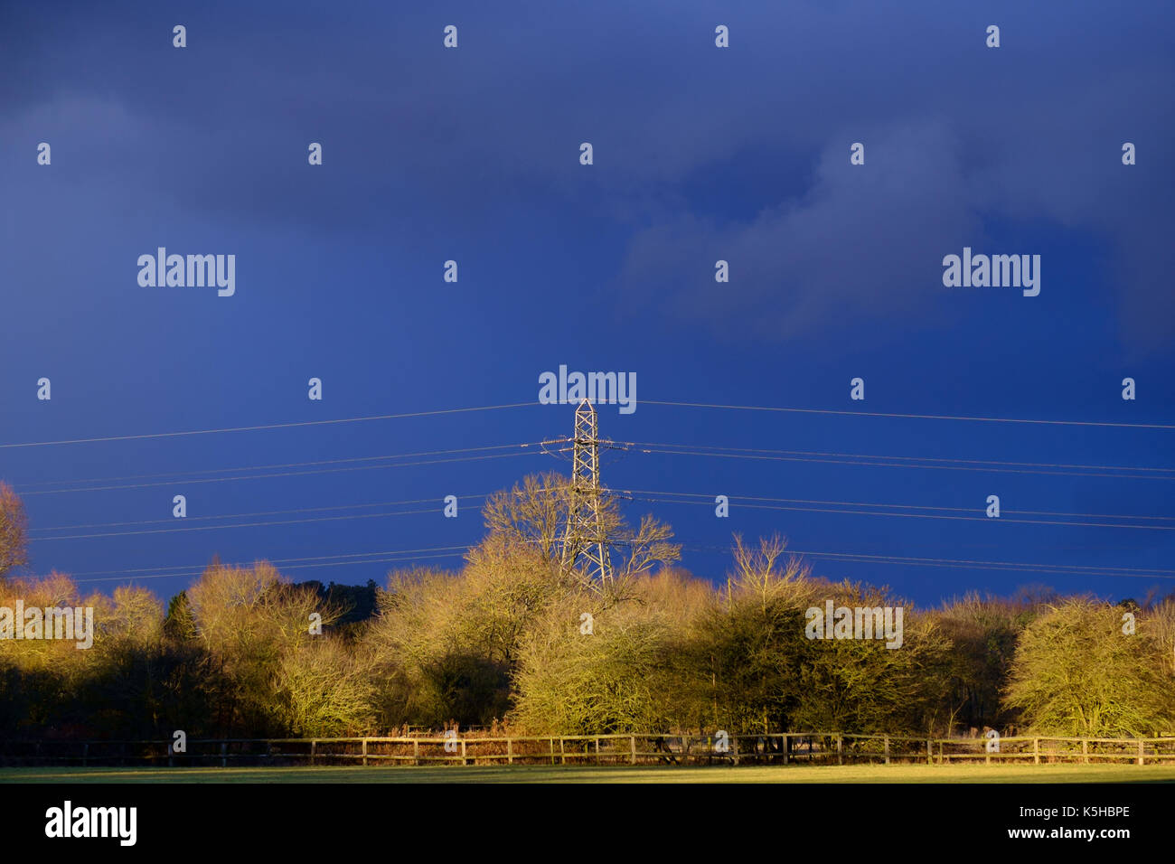 Woodland scene with electricity pylon and cables running through wood