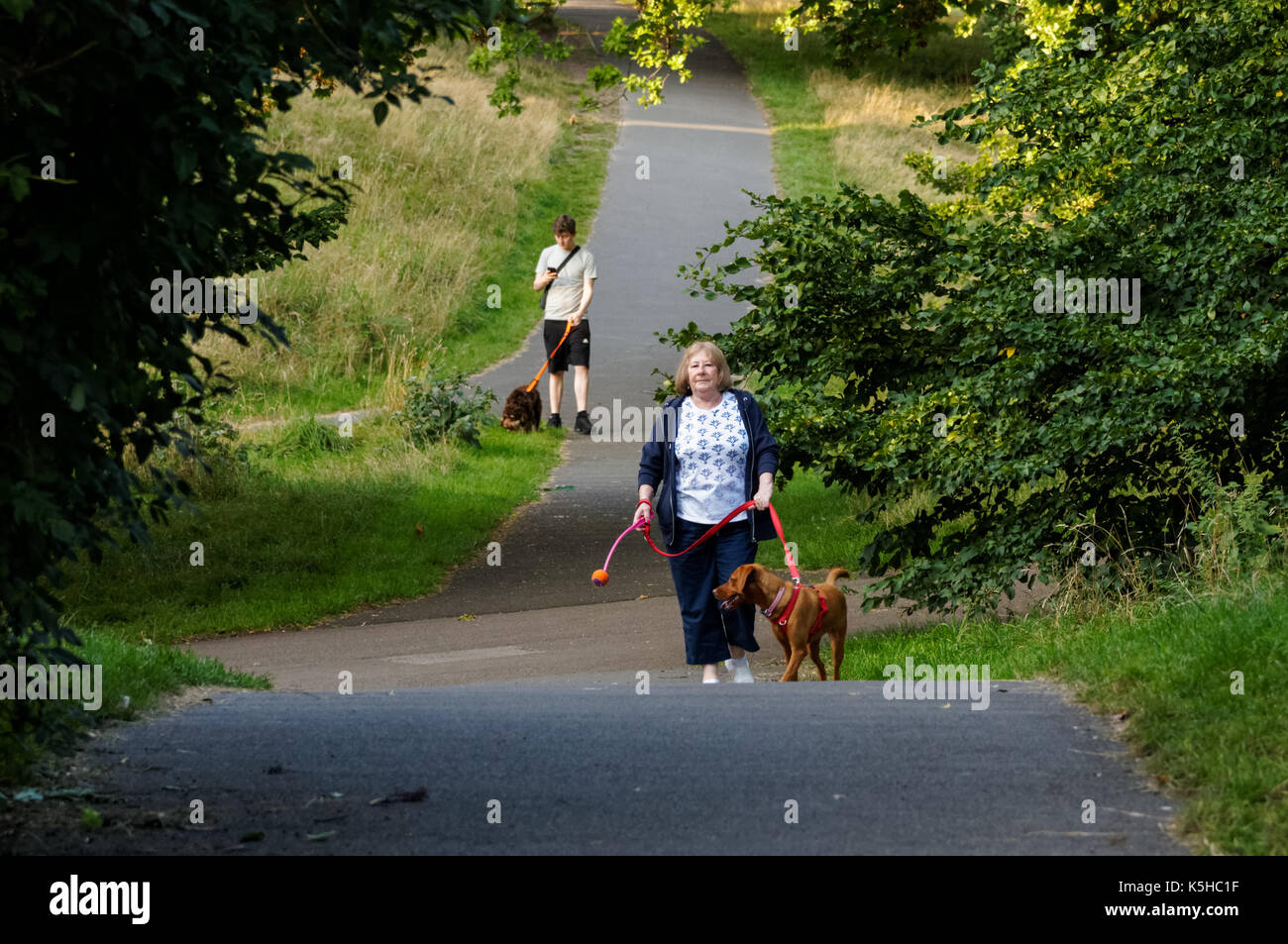 People walk their dogs in Greenwich Park in London, England, United