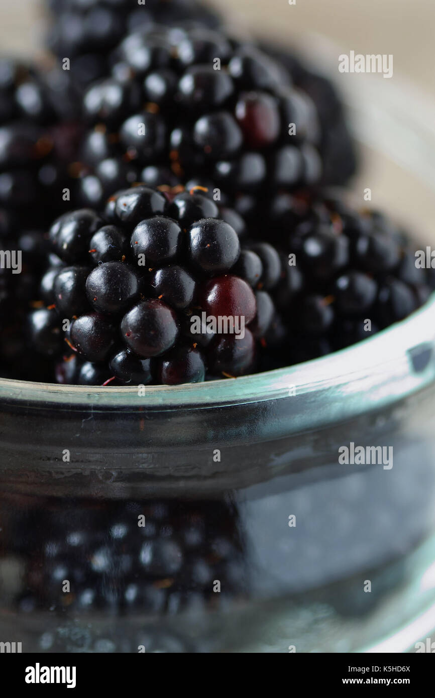Blackberries in a glass bowl - macro photography Stock Photo