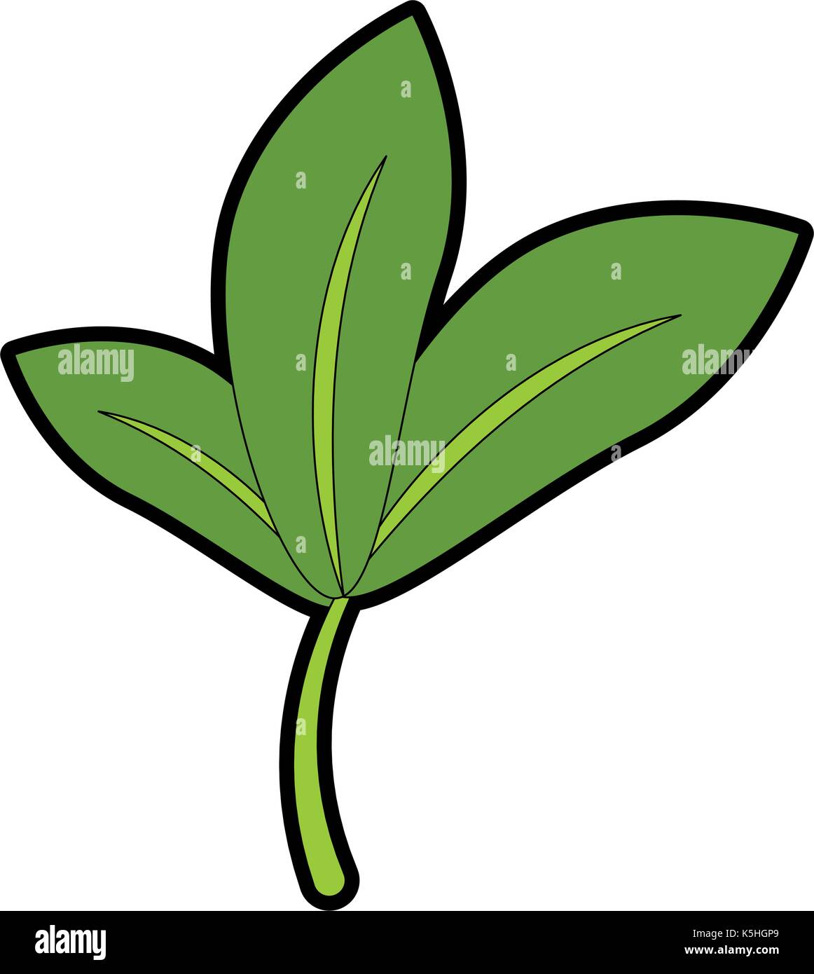 leafs plant isolated icon vector illustration design Stock Vector Image ...