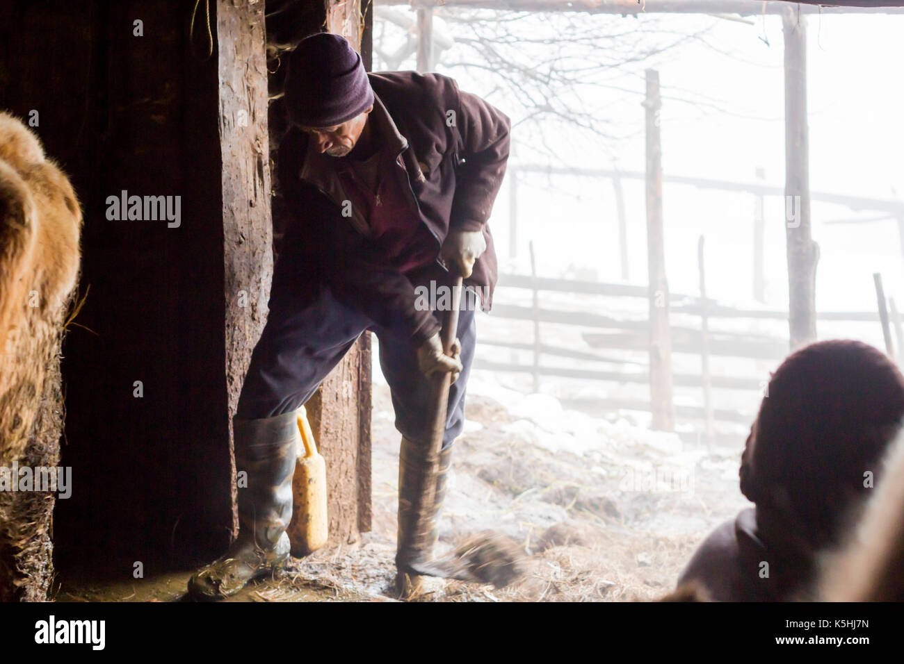 Life on a farm in the village of Dorikha in the Haa Valley of Western Bhutan Stock Photo