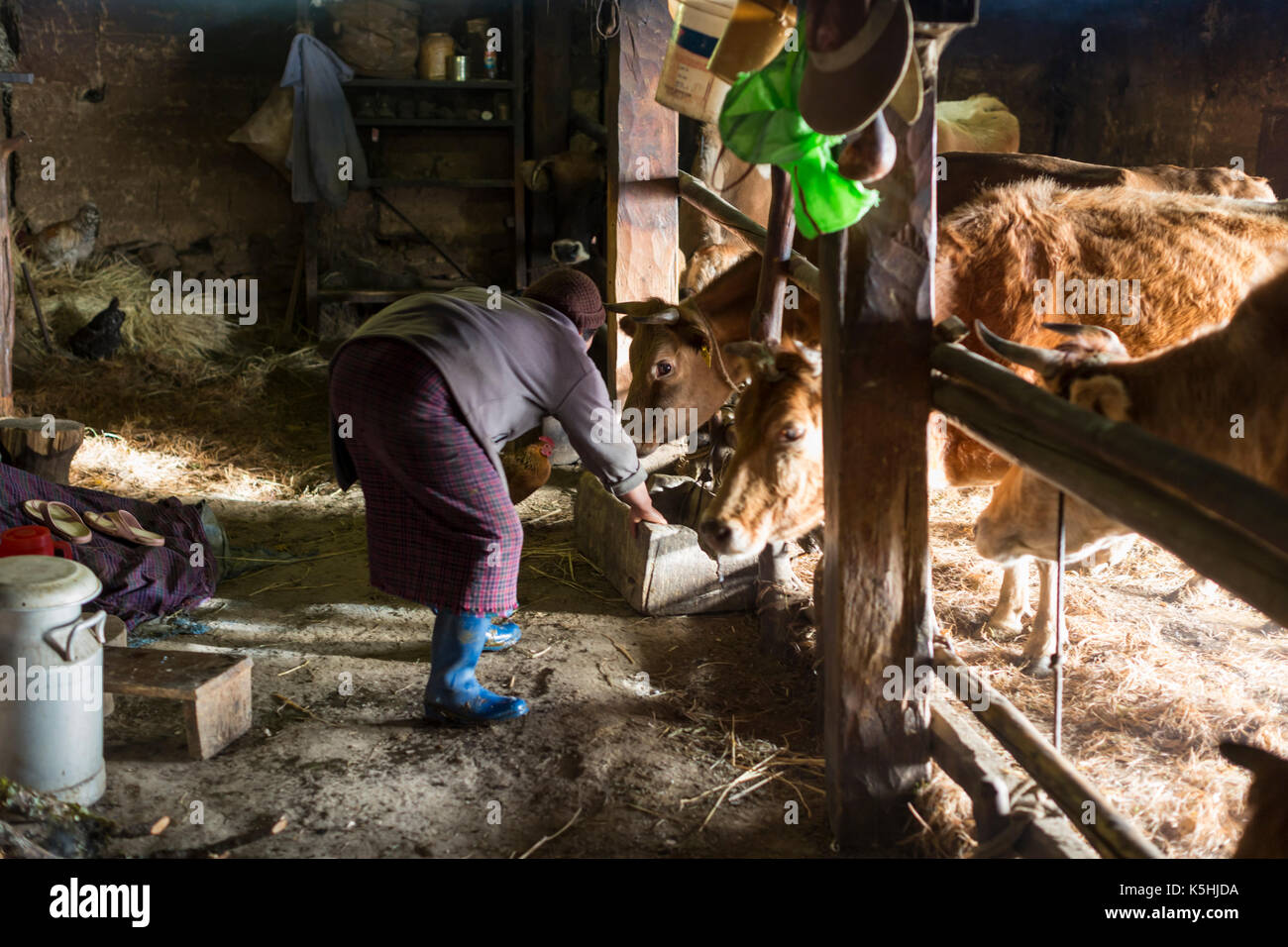 Life on a farm in the village of Dorikha in the Haa Valley of Western Bhutan Stock Photo