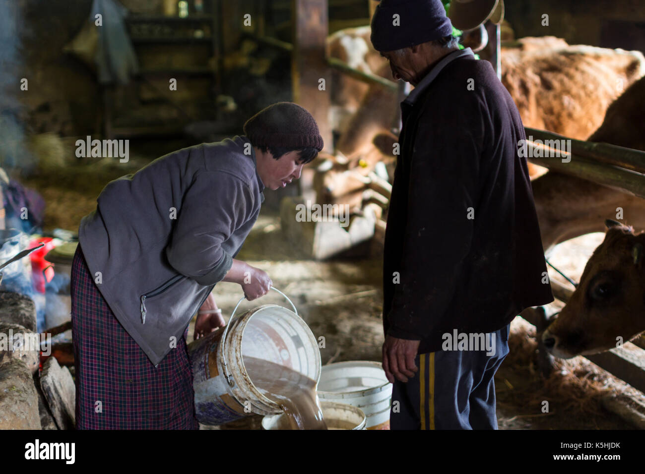 Life on a farm in the village of Dorikha in the Haa Valley of Western Bhutan Stock Photo