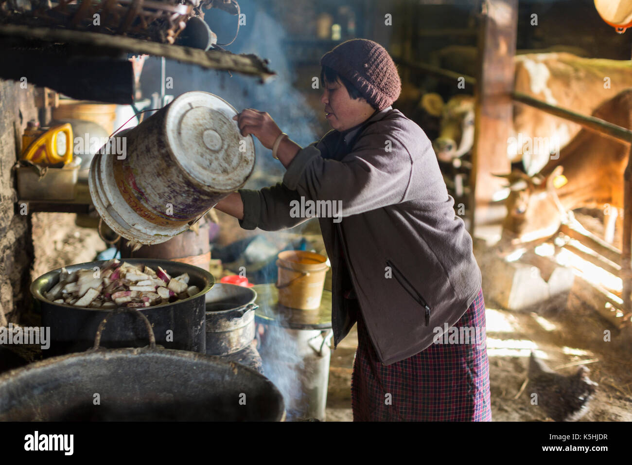 Life on a farm in the village of Dorikha in the Haa Valley of Western Bhutan Stock Photo