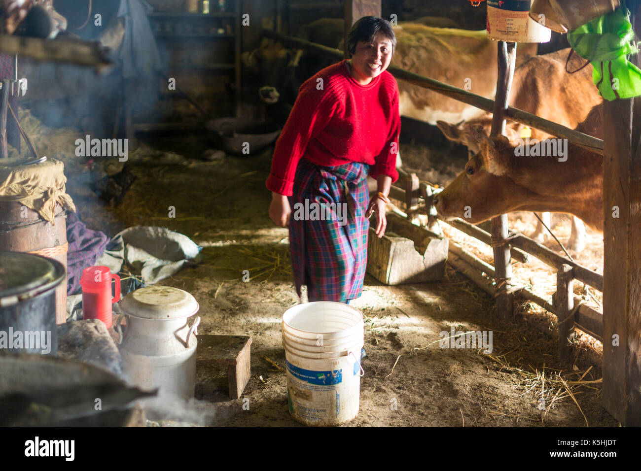 Life on a farm in the village of Dorikha in the Haa Valley of Western Bhutan Stock Photo