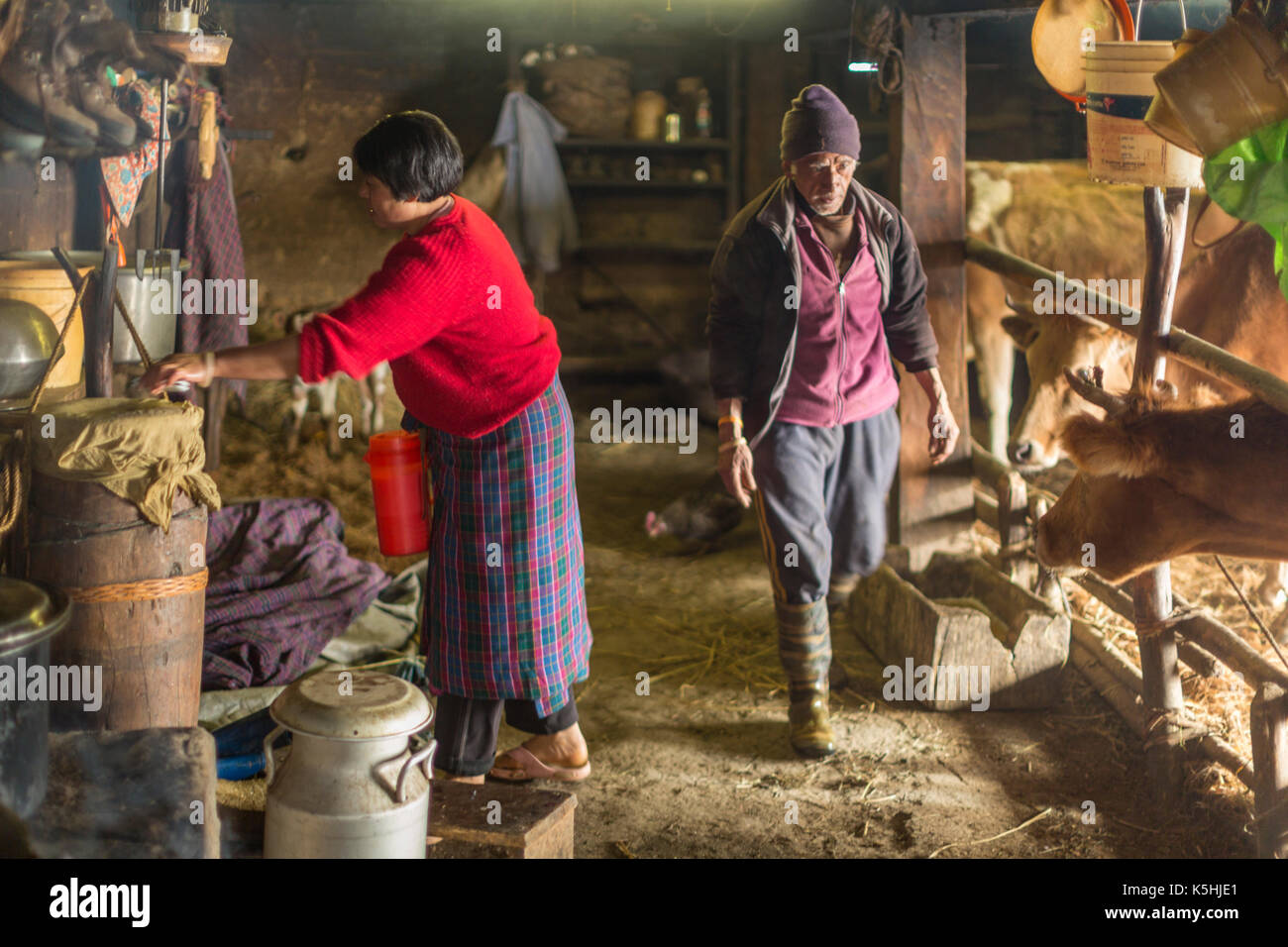 Life on a farm in the village of Dorikha in the Haa Valley of Western Bhutan Stock Photo