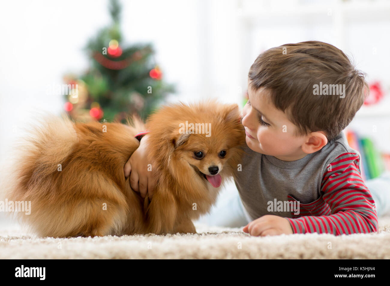 Little kid boy with dog lying on the floor at christmas tree Stock Photo