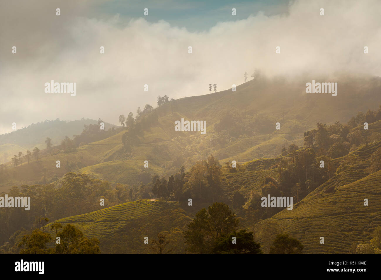 Cameron Highlands, Malaysia, misty hills with evening sunlight breaking through Stock Photo