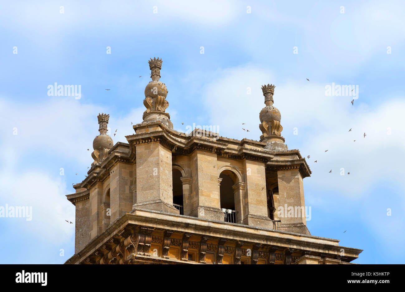 Roosting House Martins, western wing,  Blenheim Palace, Woodstock, UK Stock Photo