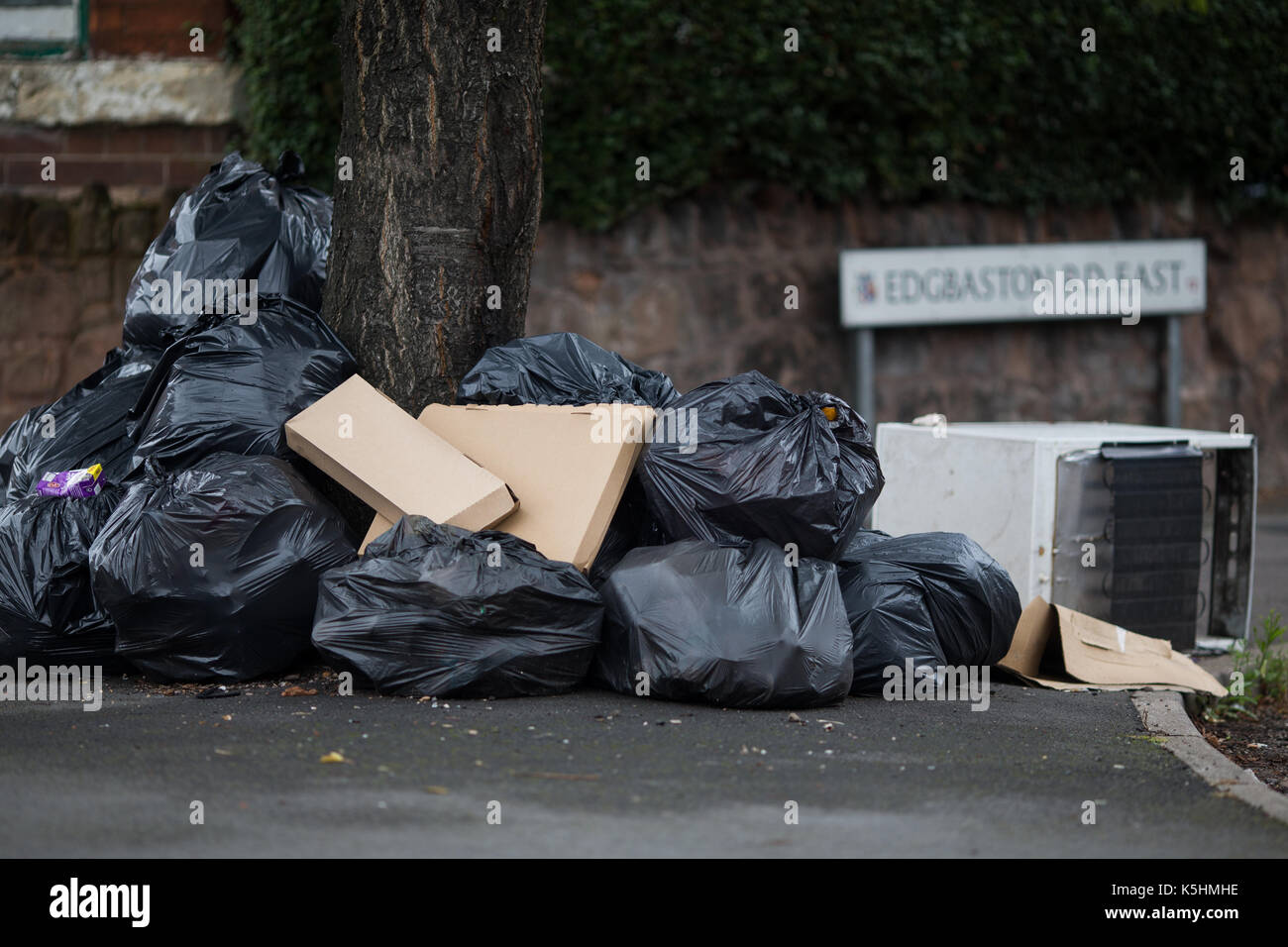 Rubbish bags piled up next to a tree in Edgebaston Road East