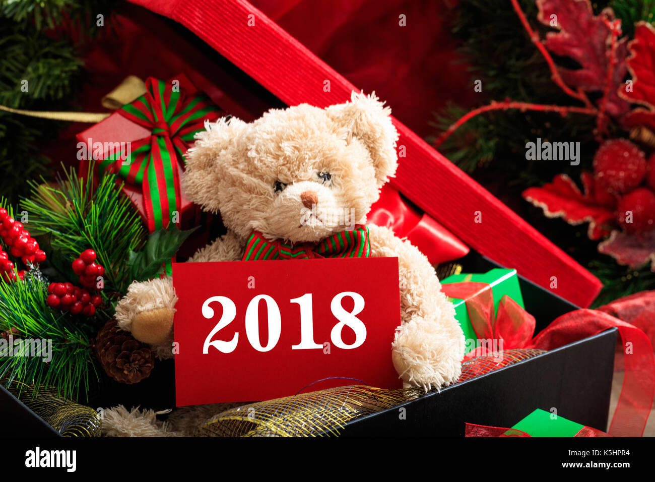 2018 teddy bear
