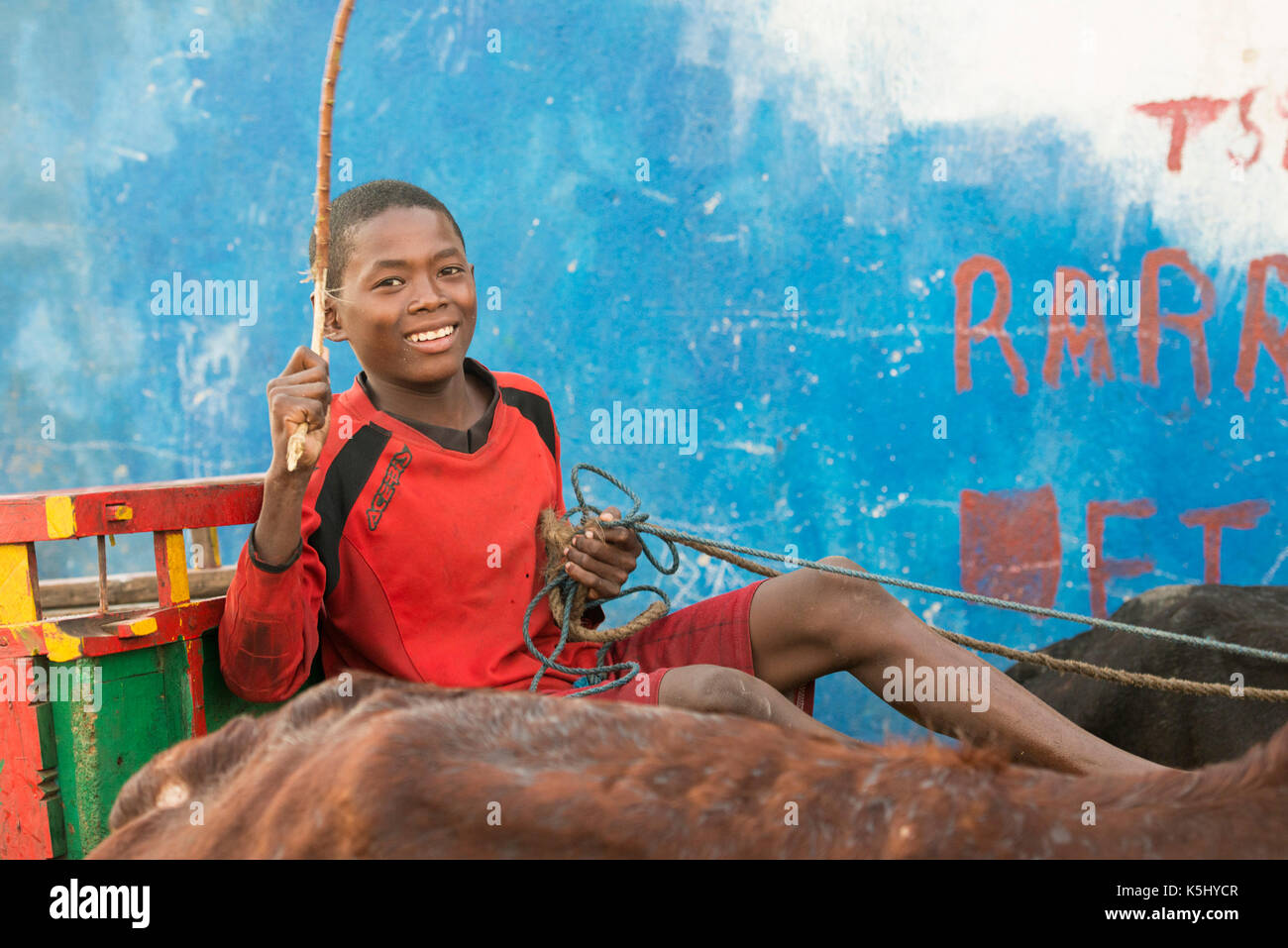 Boy on ox cart, Toliara, Madagascar Stock Photo