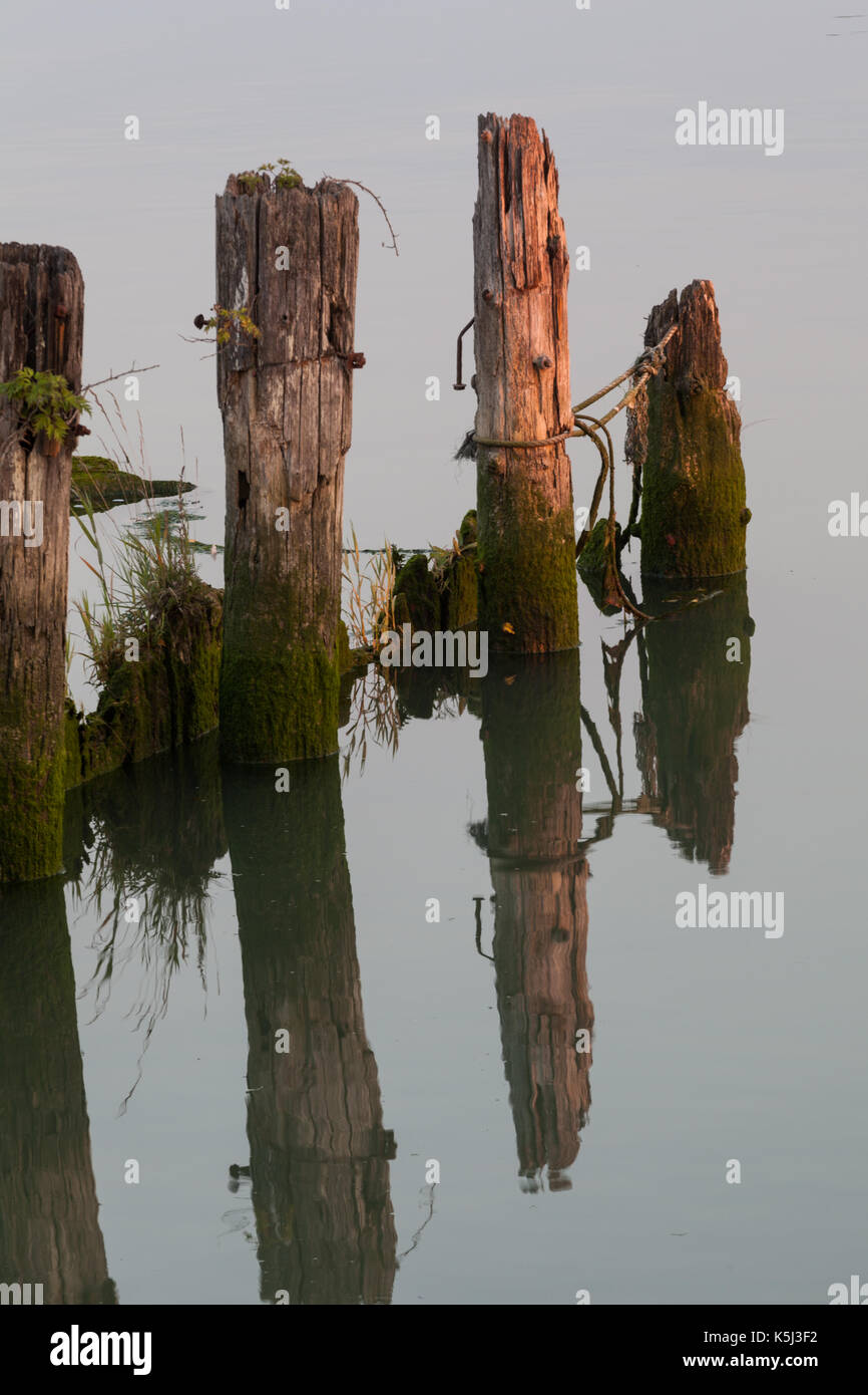 Abstract view of wooden pilings at high tide Stock Photo