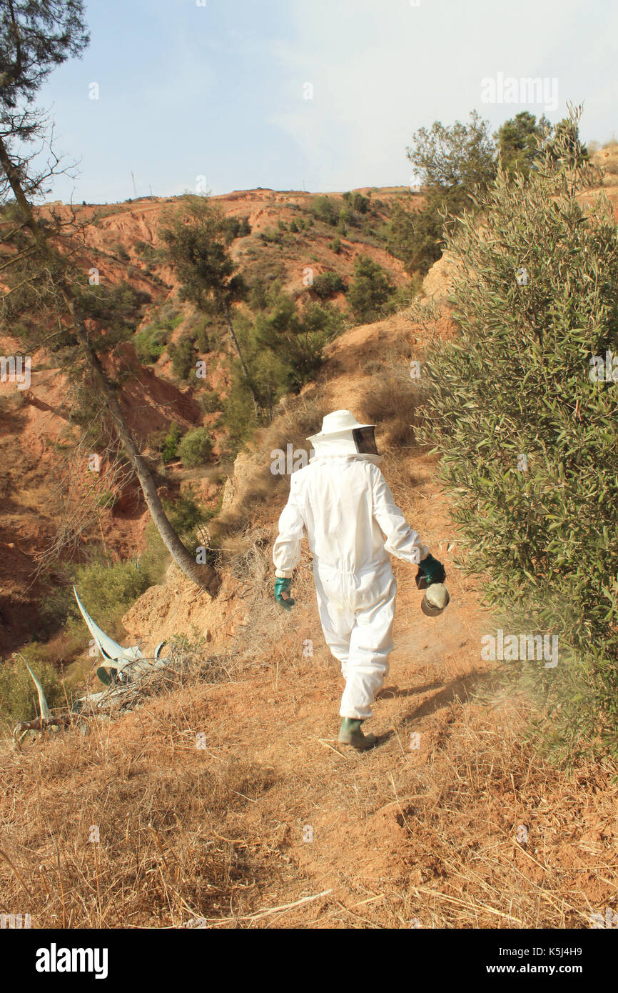 beekeeper in morocco Stock Photo