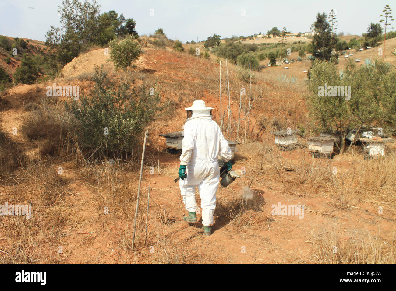 beekeeper Stock Photo