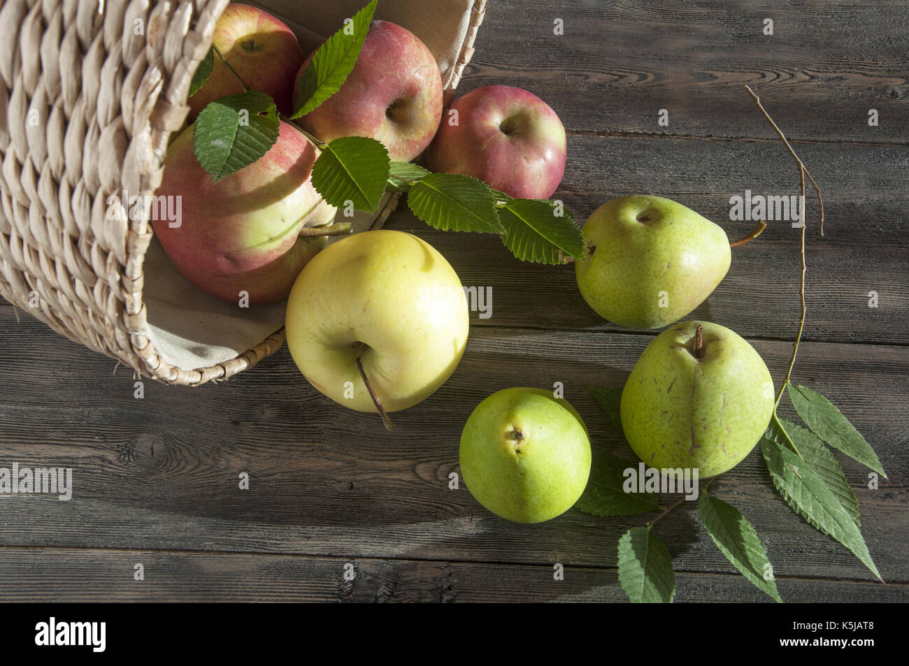 The Apples and Pears