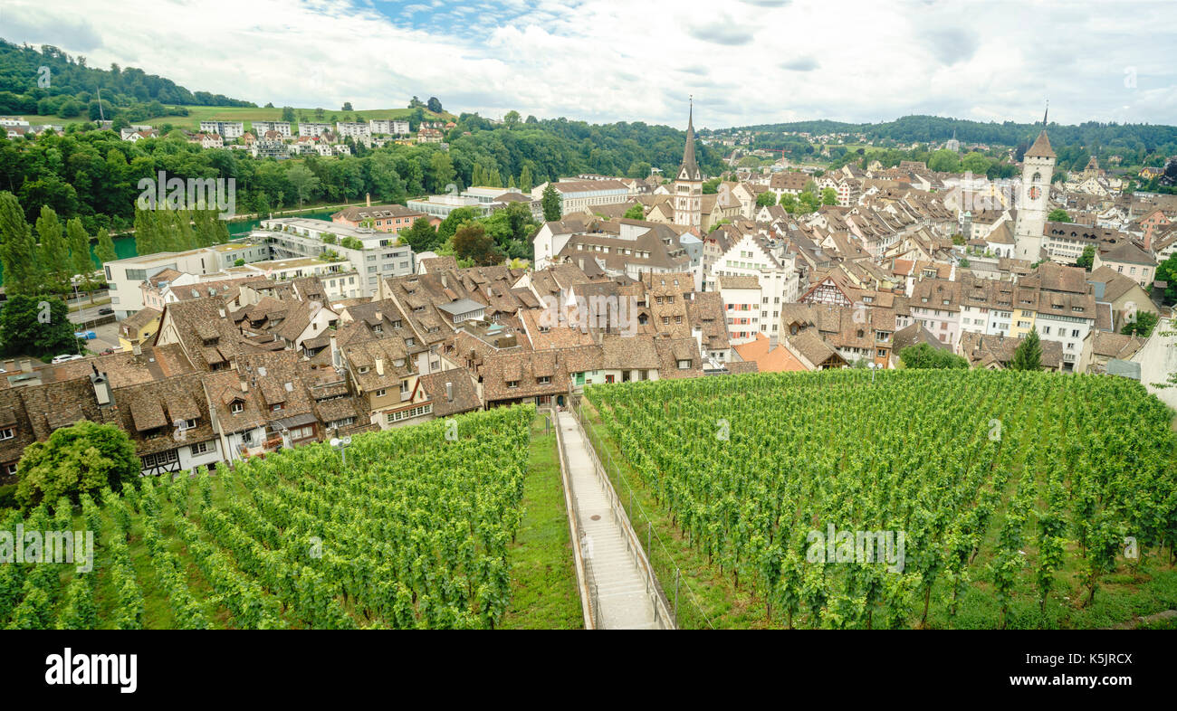 Aerial view of vineyard and beautiful scenic around Munot, Schaffhausen, Switzerland Stock Photo