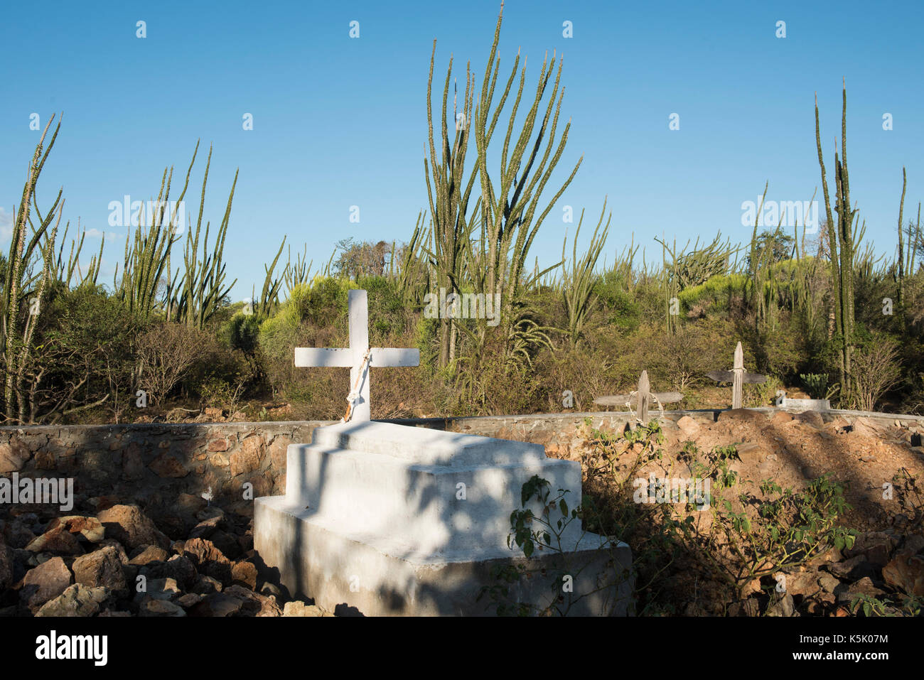 Antandroy graves in the sacred spiny forest, Mandrare River Camp, Ifotaka Community Forest, Madagascar Stock Photo