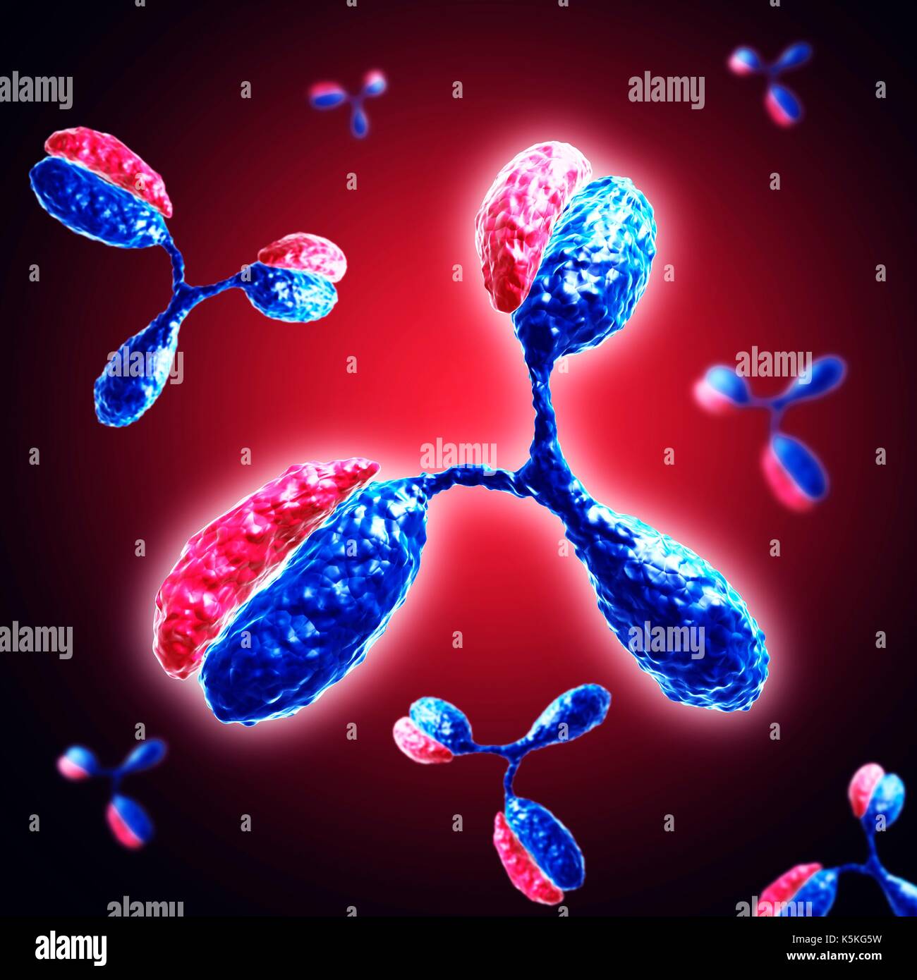 Illustration of molecules of antibodies Stock Photo - Alamy
