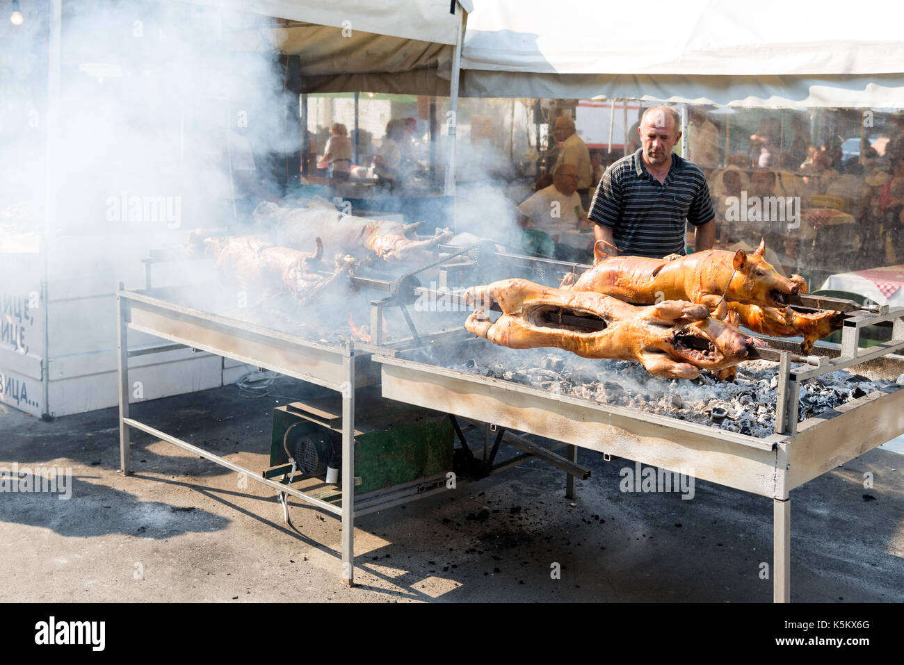 The yearly Leskovac Grill Festival, also known as the barbecue week, Serbia  Stock Photo - Alamy