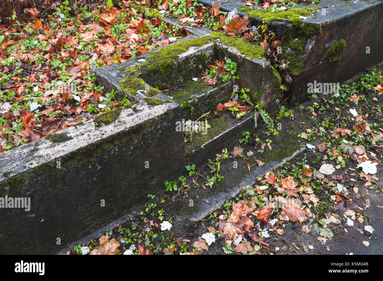 Empty dark stone stairs covered with red fallen leaves in autumnal park Stock Photo