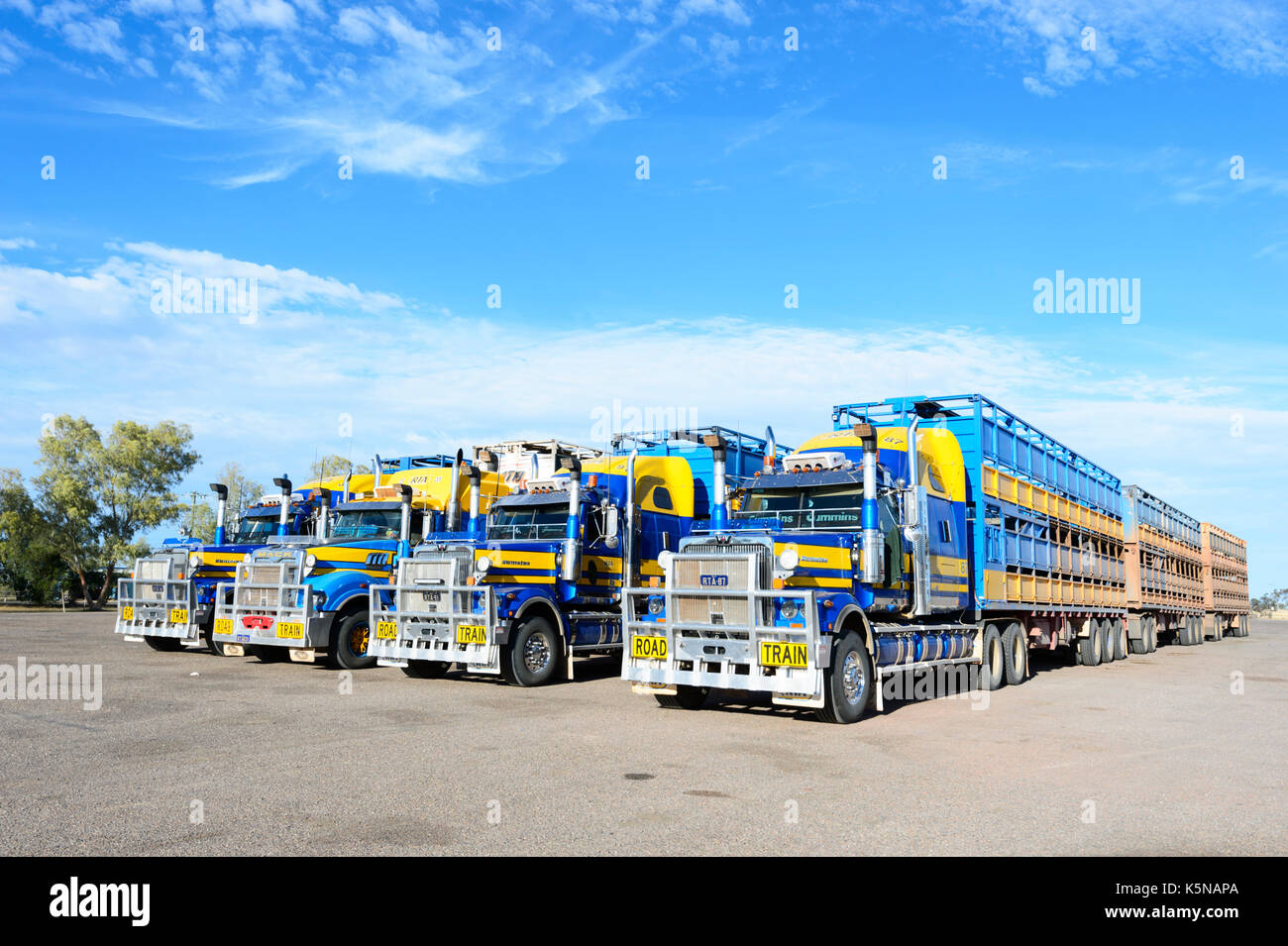 Cattle trucks or Road Trains with three trailers parked at a rest area, Queensland, QLD, Australia Stock Photo