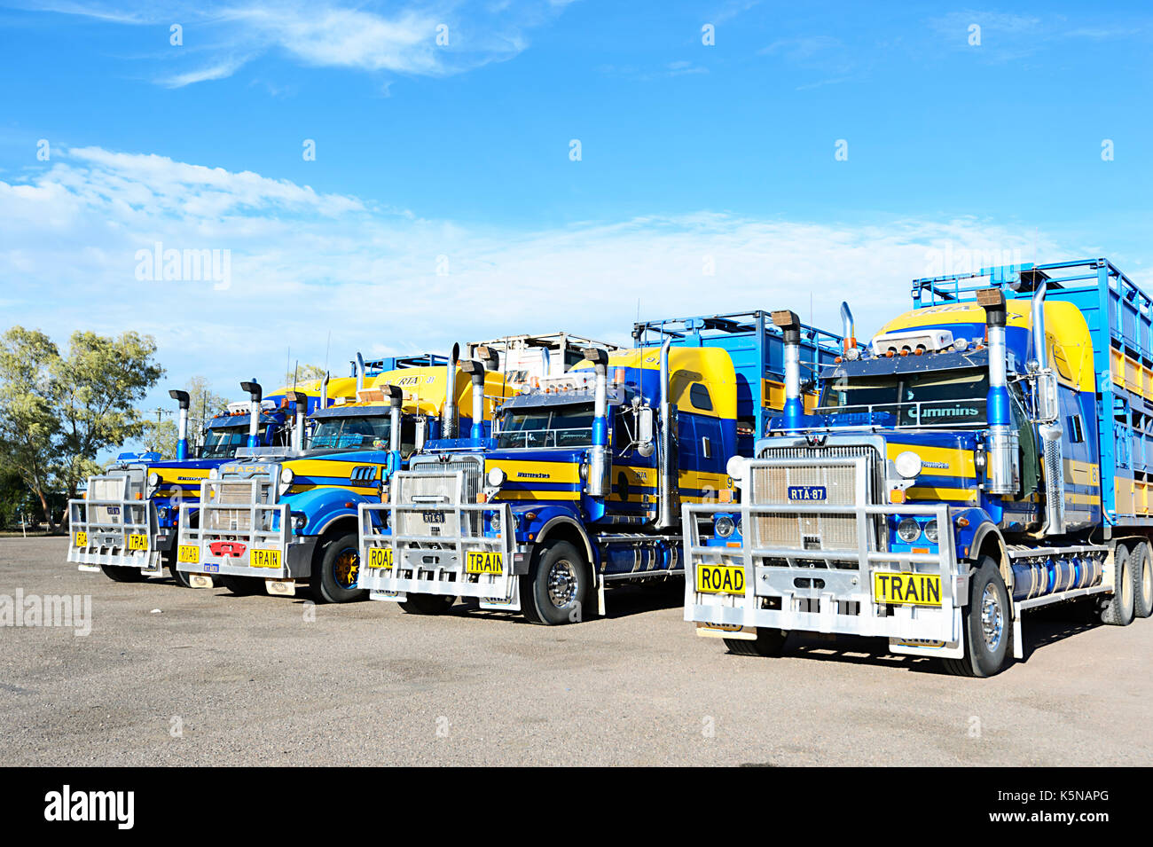 Front of parked Cattle trucks or Road Trains, Queensland, QLD, Australia Stock Photo