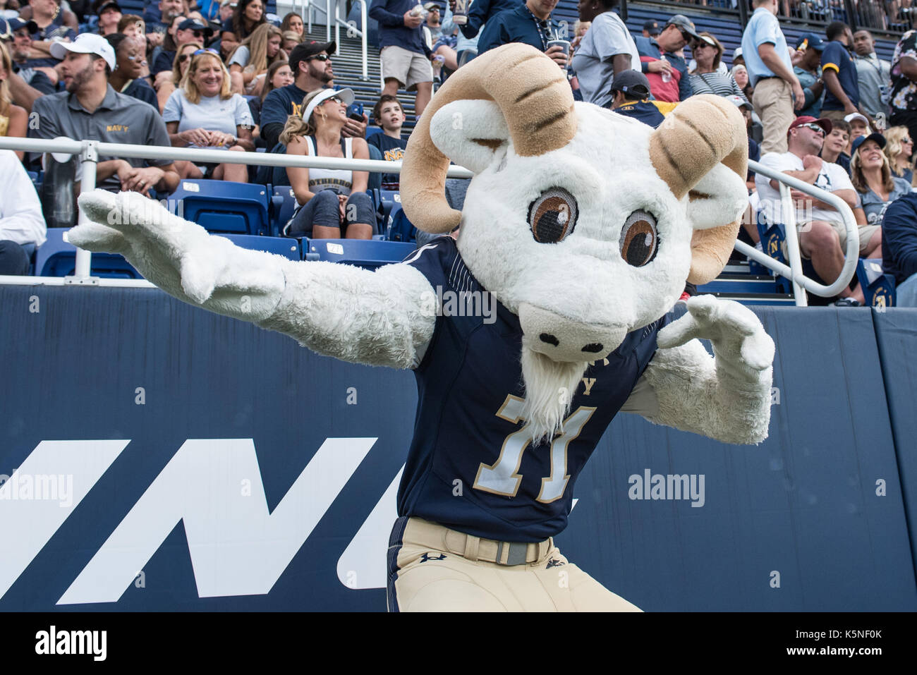 Naval academy mascot High Resolution Stock Photography and Images Alamy