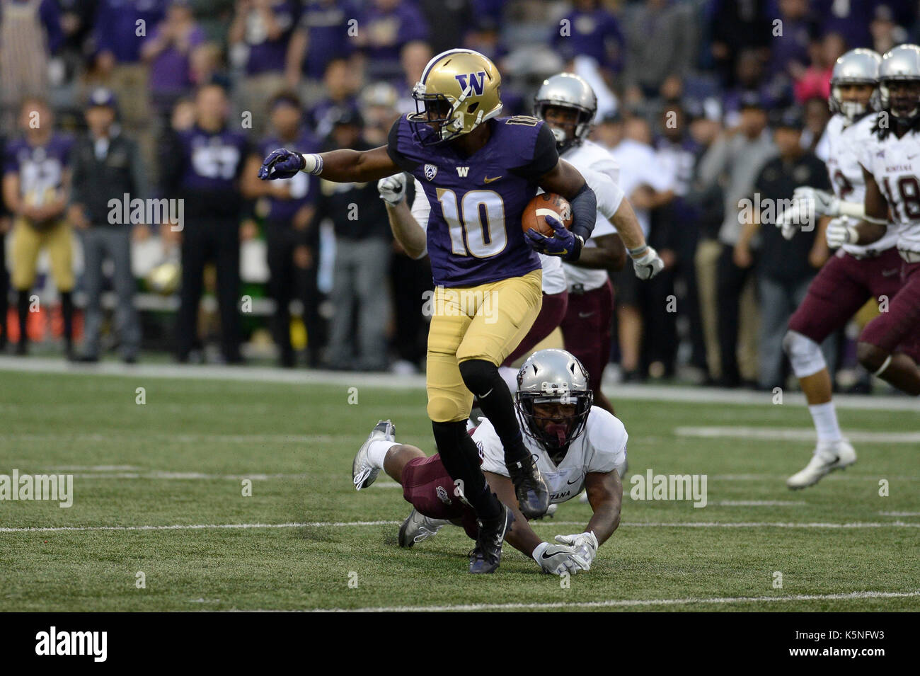 Seattle, WA, USA. 9th Sep, 2017. UW defensive back Jomon Dotson (10) avoids a tackle during his 68 yard interception return for a touchdown in a game between the Montana Grizzlies and the Washington Huskies. The game was played at Husky Stadium on the University of Washington campus in Seattle, WA. Jeff Halstead/CSM/Alamy Live News Stock Photo