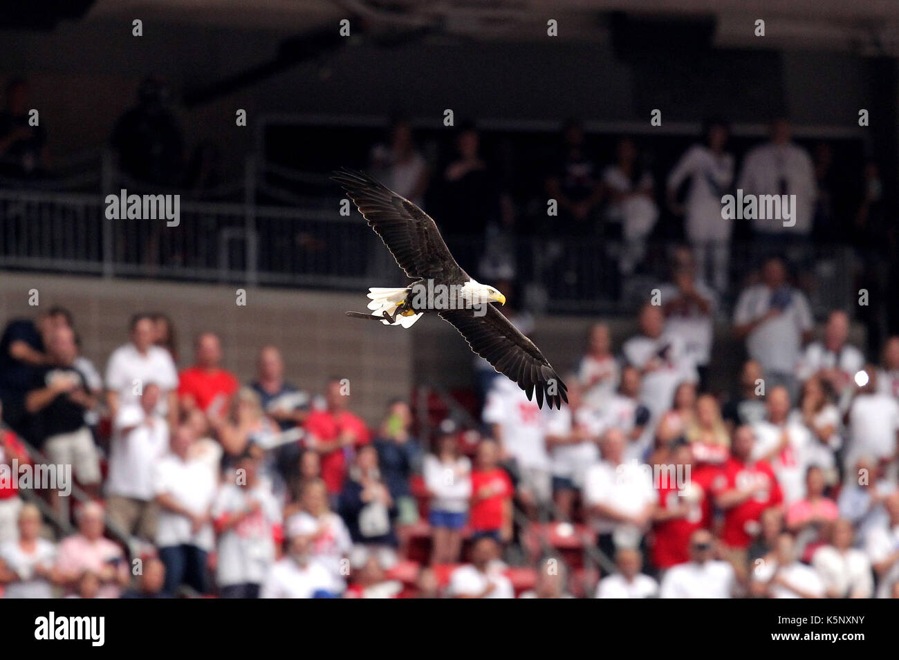 Eagle stadium stadium texas hires stock photography and images Alamy