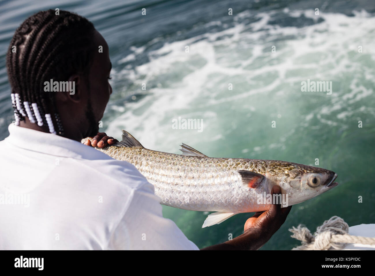 Men catching a fish Stock Photo Alamy