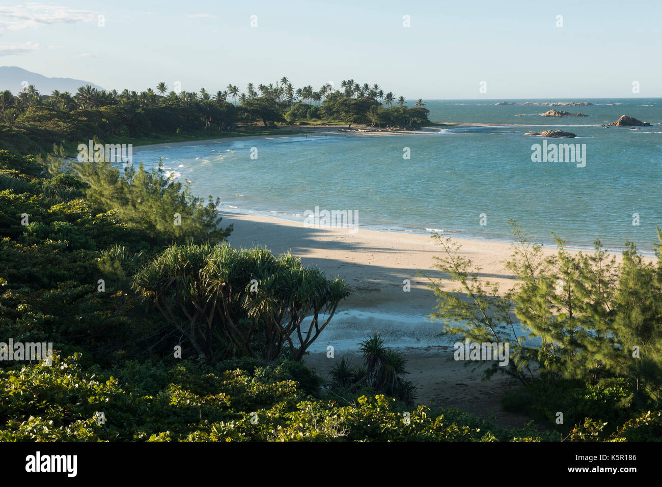 Palm-lined beach, Manafiafy Beach and Rainforest Lodge,  Sainte Luce Bay, Madagascar Stock Photo