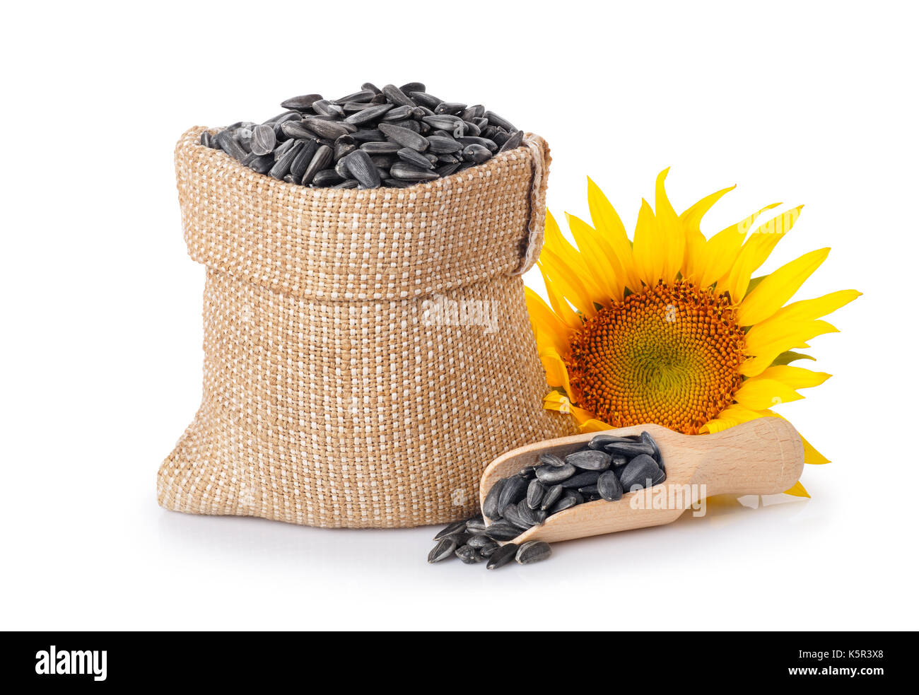 семечки для птиц в мешке. семечки подсолнечника мешок. семечки подсолнуха мешок. семена подсолнечника полосатые. семечка подсолнечника в мешках.
