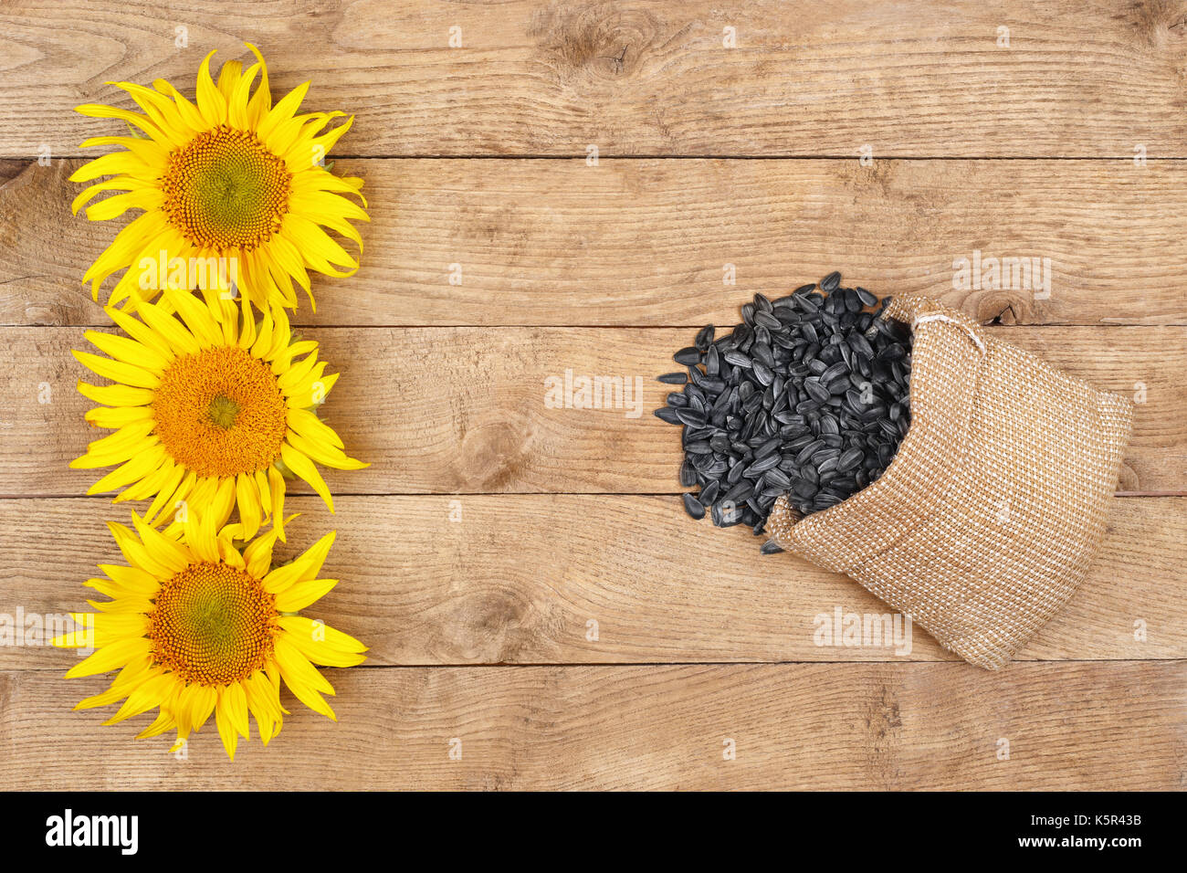 scattered sunflower seeds top view Stock Photo Alamy