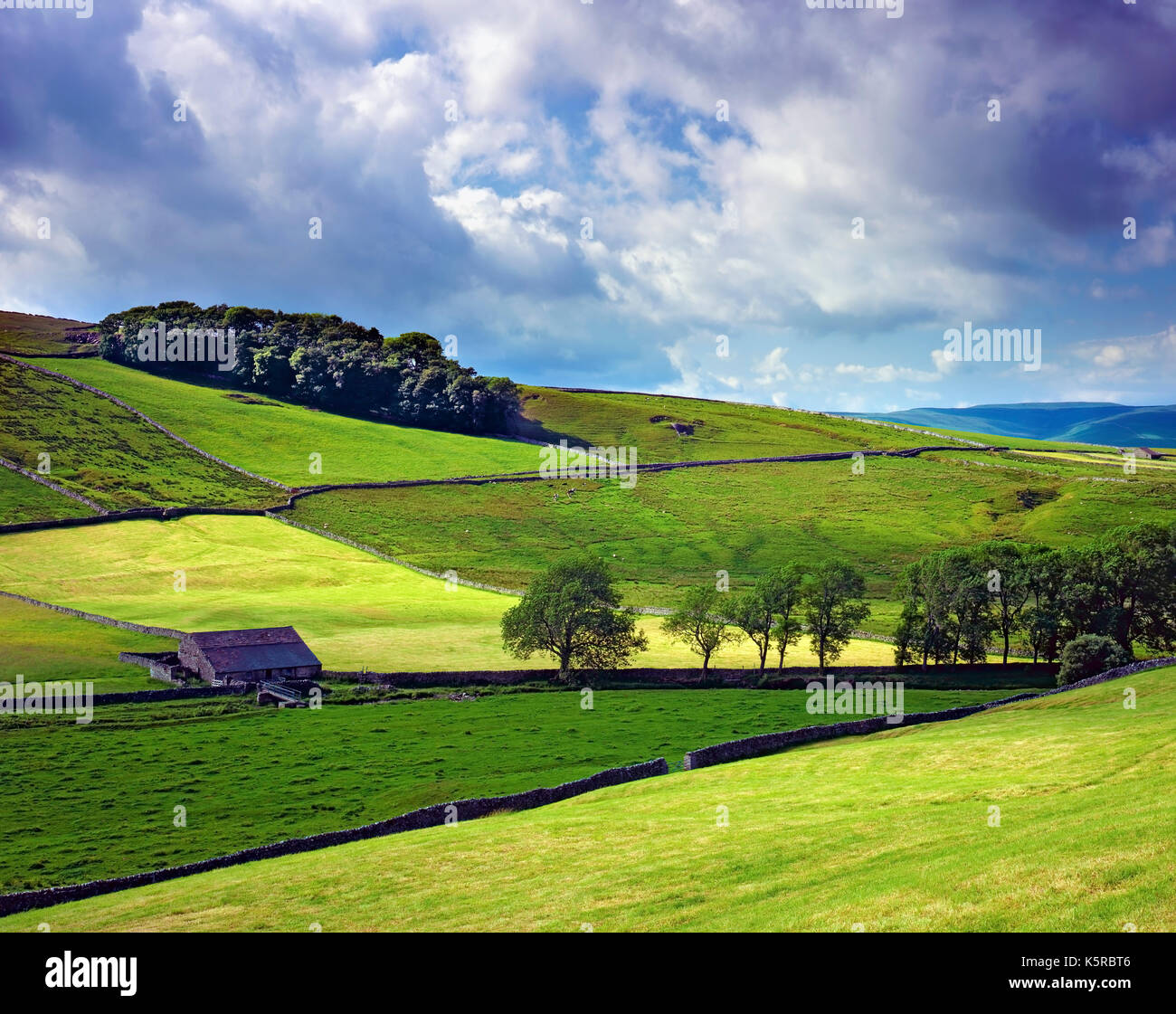 A summer view of farmland near Hawes in the Yorkshire Dales, England Stock Photo