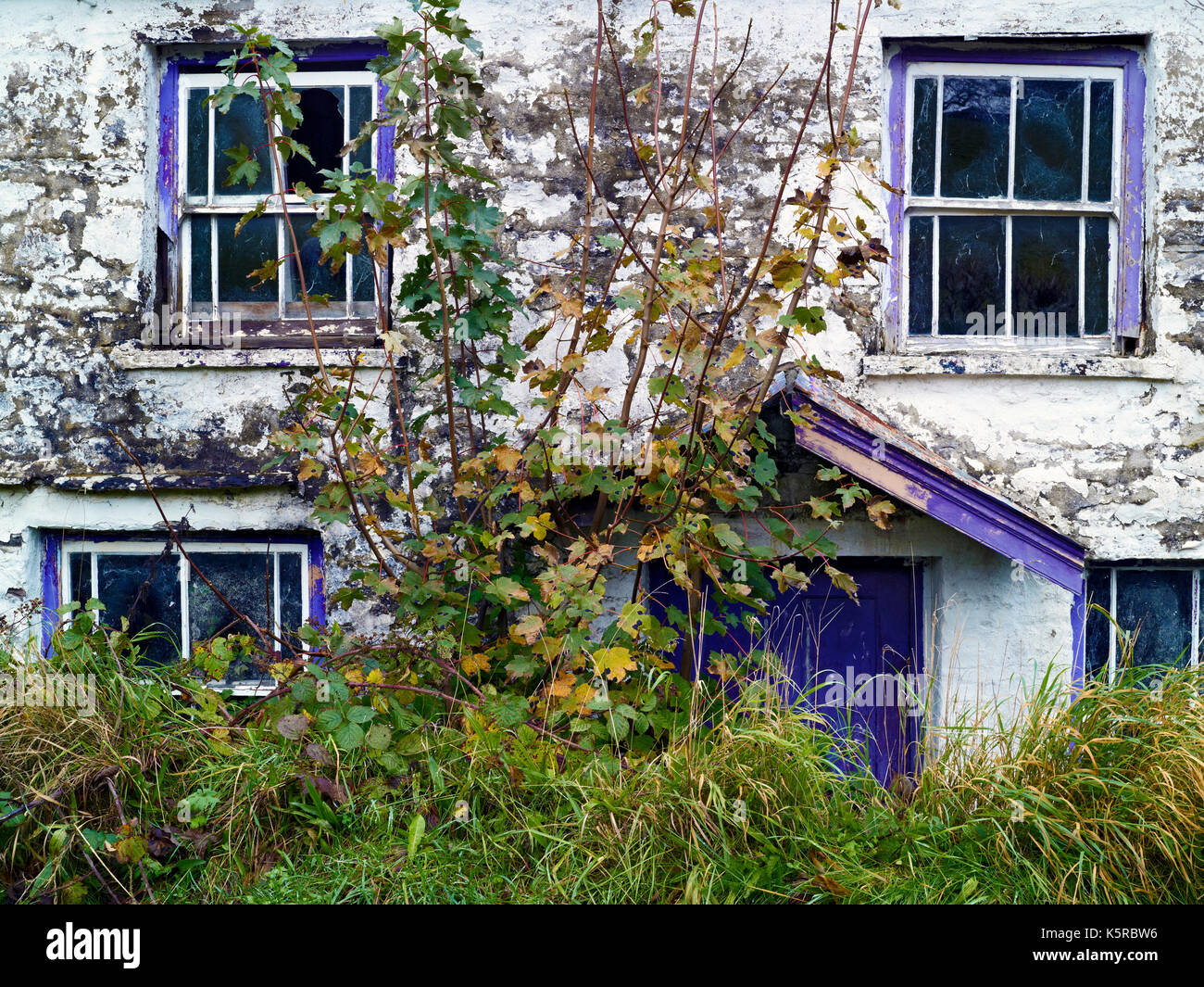 A view of a derelict cottage in a remote part of the Yorkshire Dales