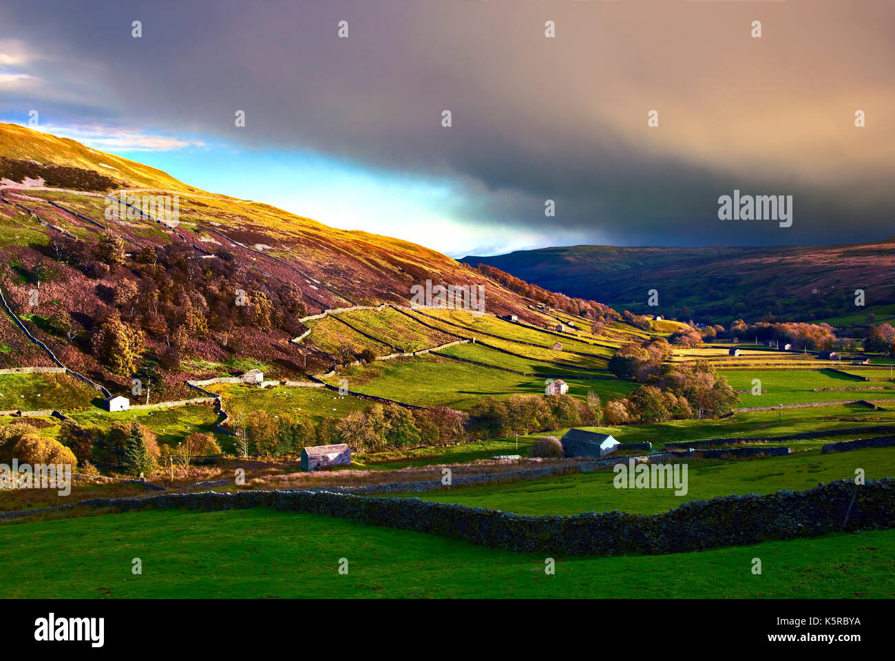An autumn view of the unique landscape of Swaledale in the Yorkshire Dales, England Stock Photo