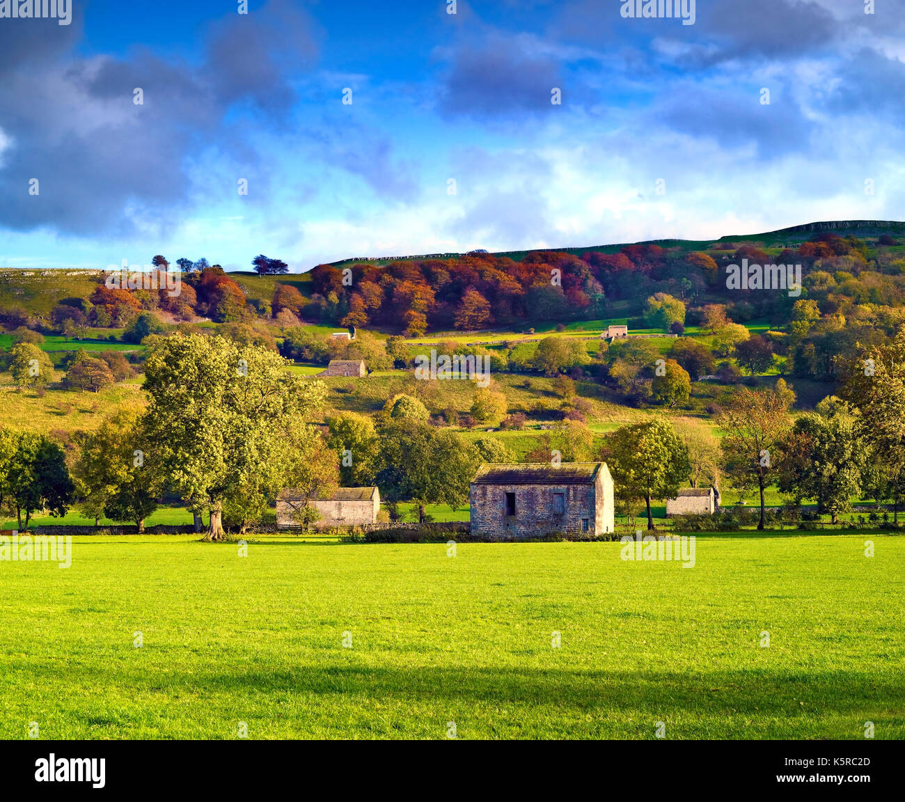 An autumn view of West Burton, Wensleydale, North Yorkshire, England, UK. Stock Photo