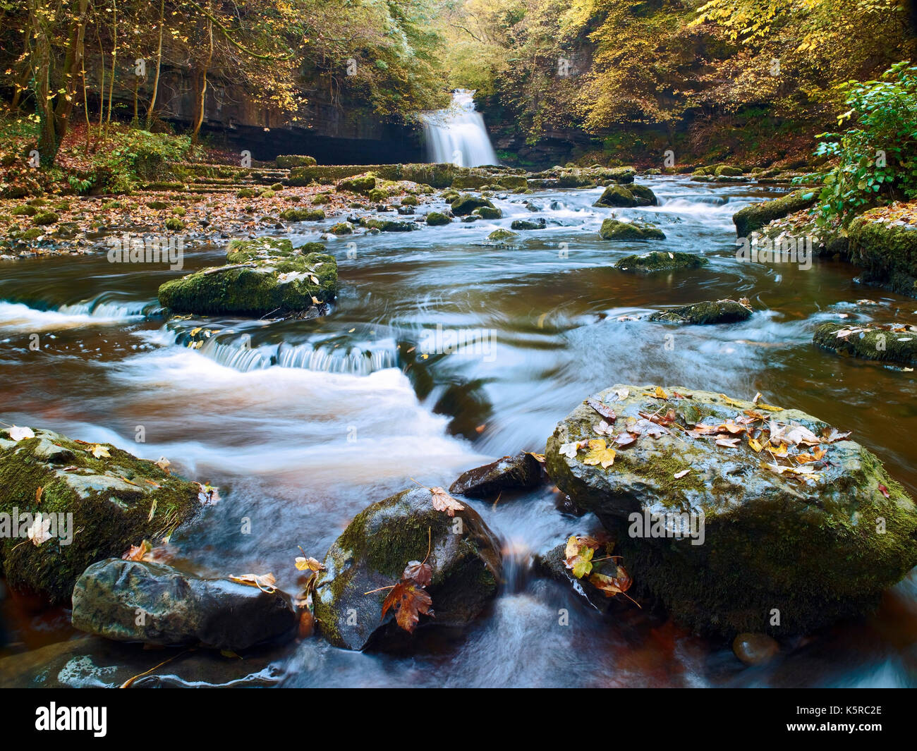 A view of West Burton Falls, Wensleydale, North Yorkshire at the peak of autumn. Stock Photo