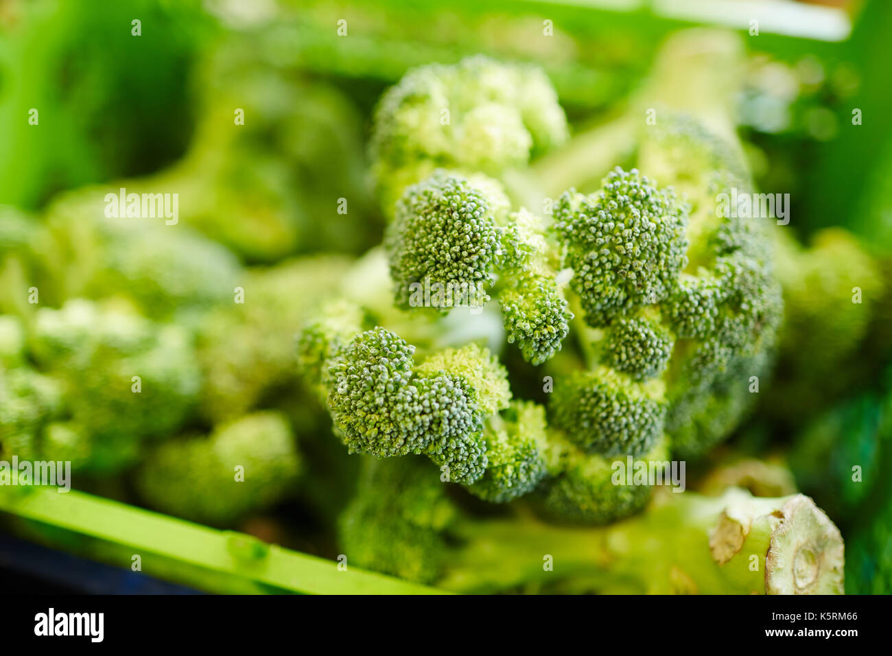 Broccoli healthy pattern hi-res stock photography and images - Alamy