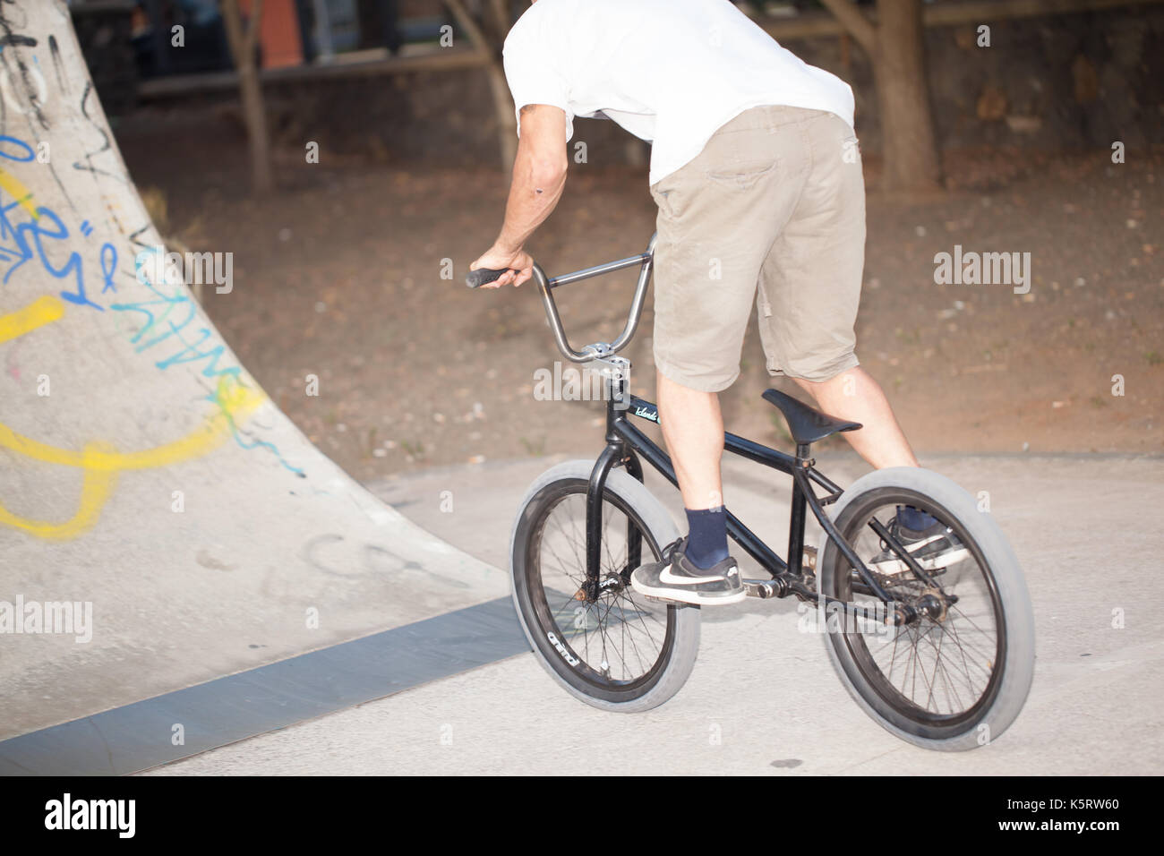 mountain bike skate park