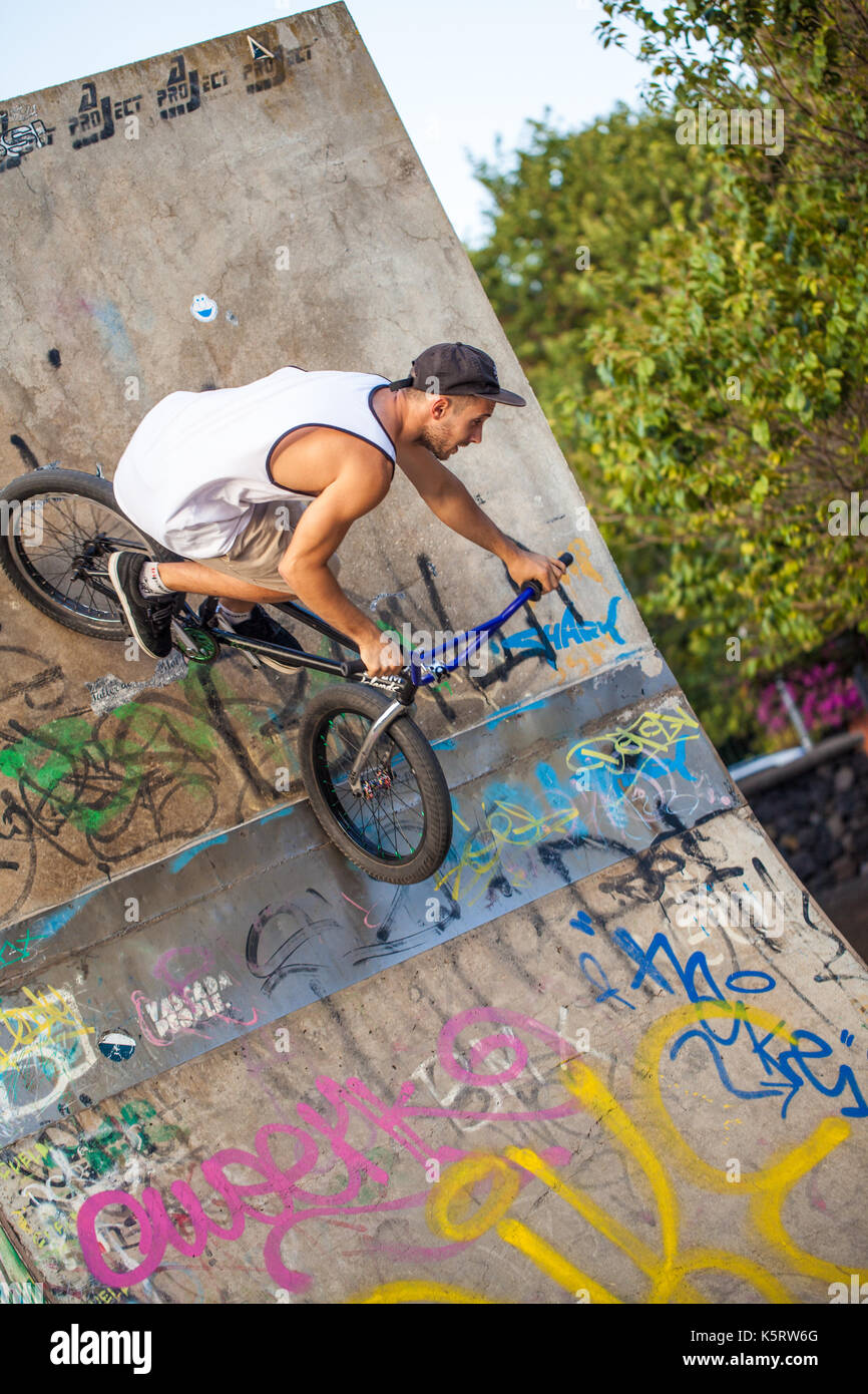 mountain bike skate park