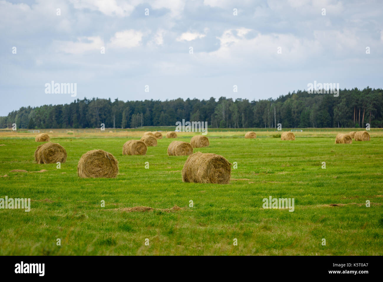 green meadow with hay rolls Stock Photo - Alamy