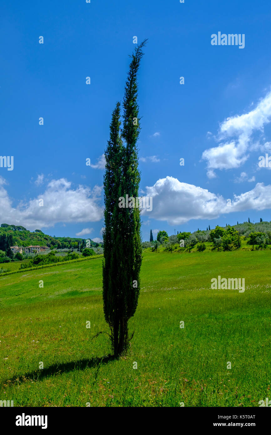 Typical tuscanian landscape with a farmhouse on a green hill, cypress and blue sky in Chianti Stock Photo
