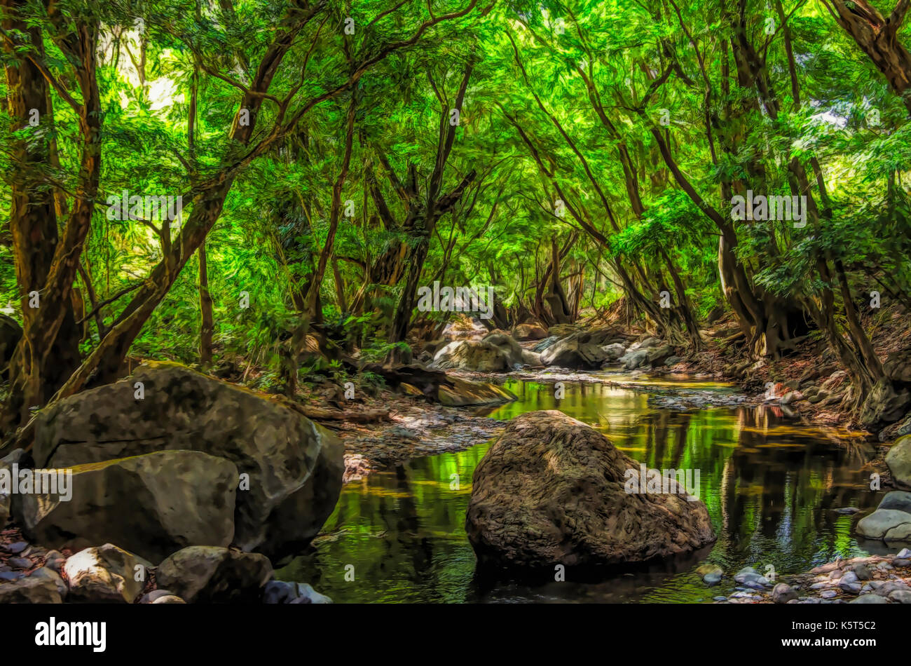 Creek in light forest scene like a drawing illustration Stock Photo