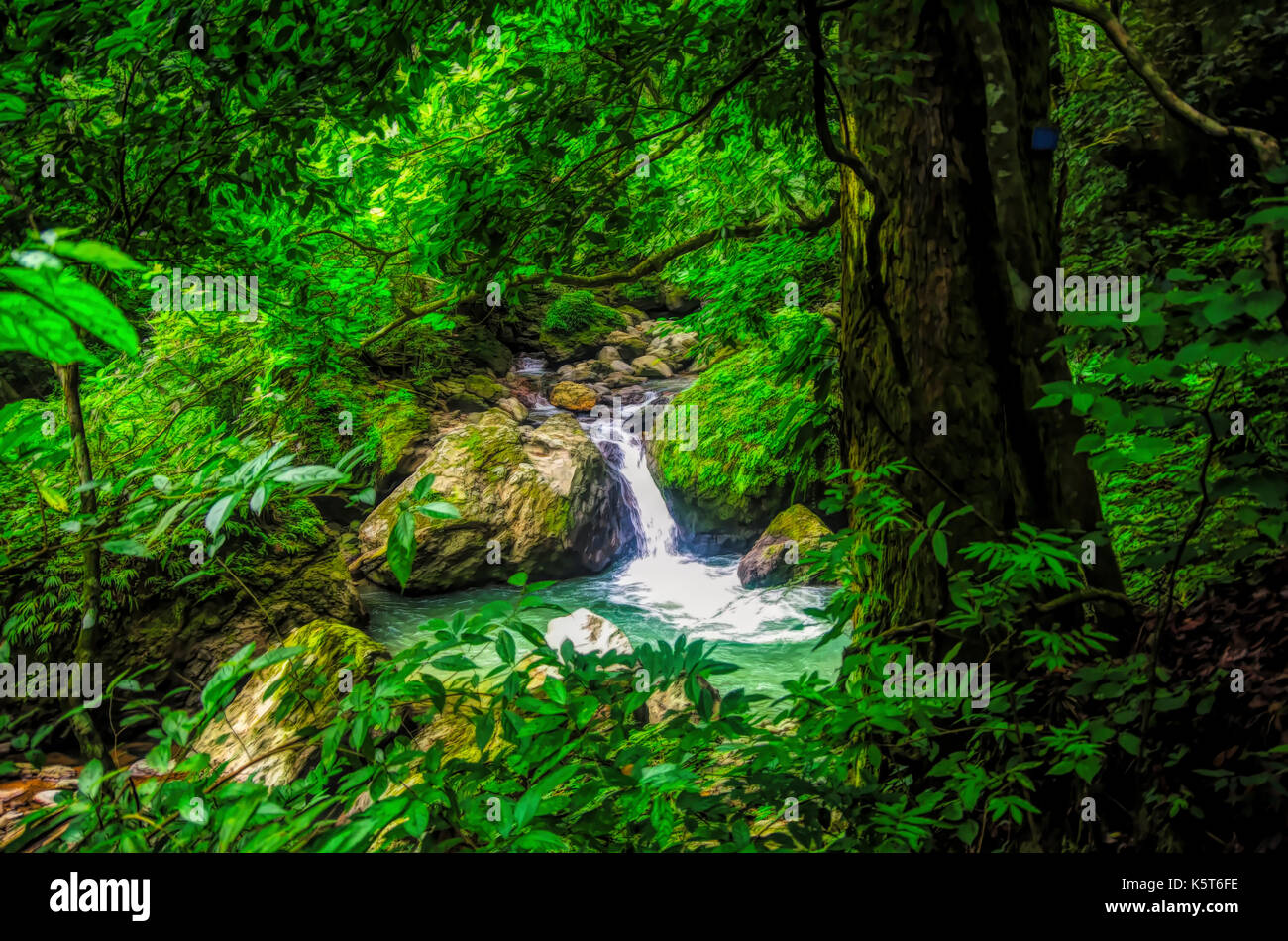 Rain forest landscape scene with small cascade illustration Stock Photo ...