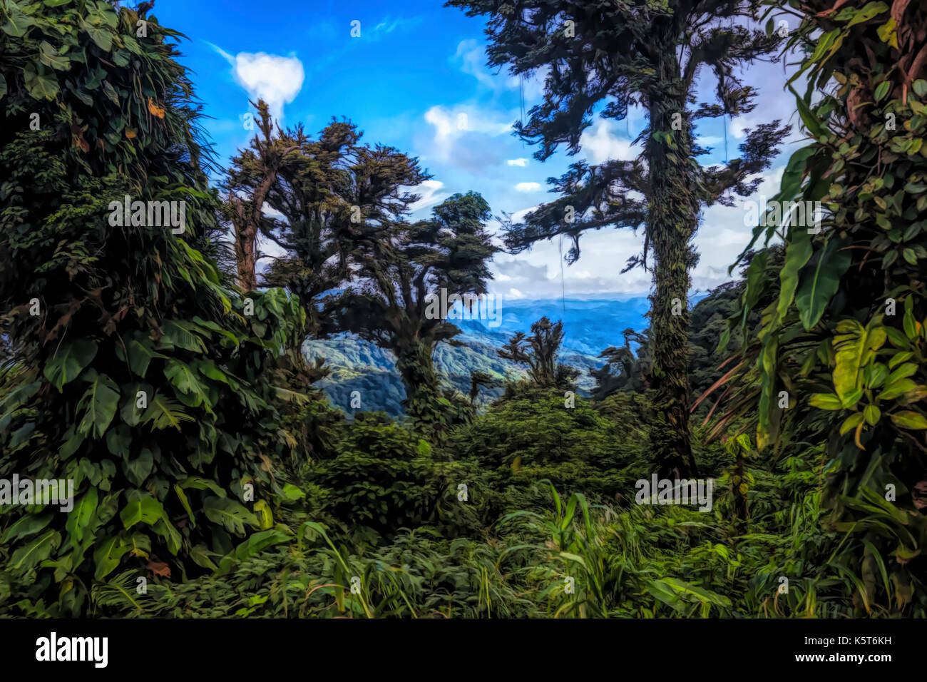 Rain forest landscape scene illustration Stock Photo